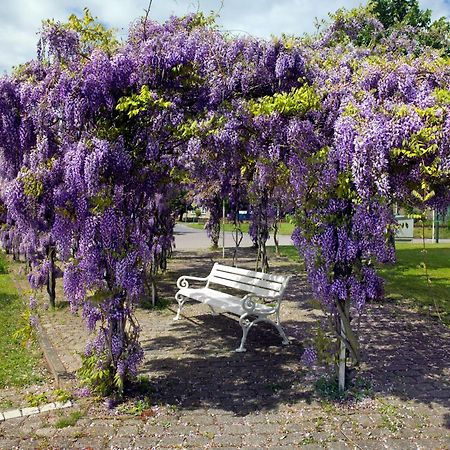 Kirchdorf Mann Un Fru - Residenz Am Yachthafenアパートメント エクステリア 写真